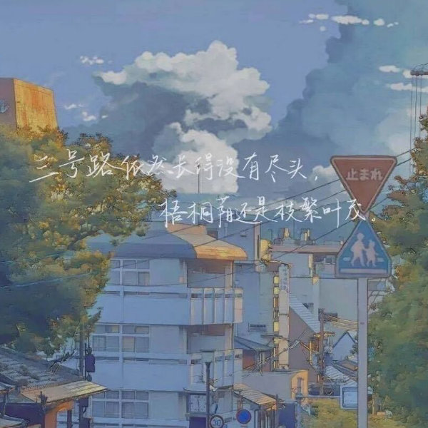 三号路·梧桐荫