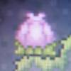 Mole