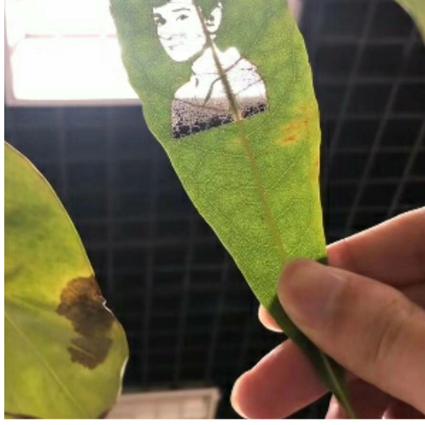 取名字一定要长长的才不好记