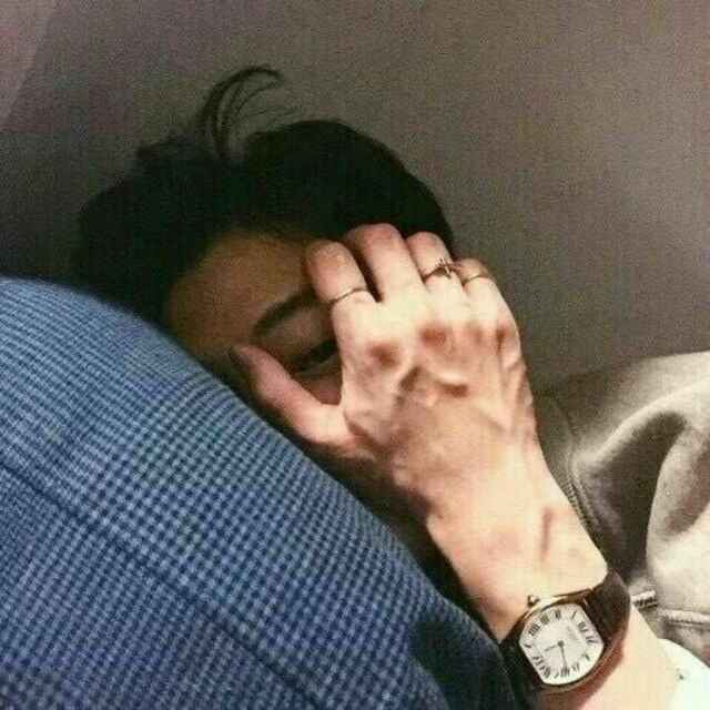 七尾蝉