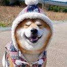 蒸鱼 :D