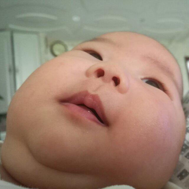 宸