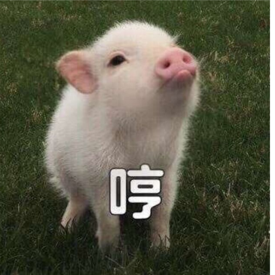 念恩