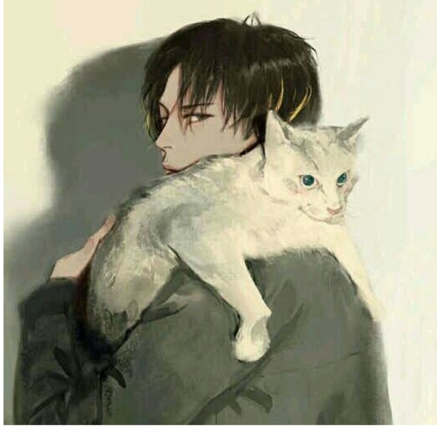 放置黑商①雪月