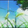 Your Na。