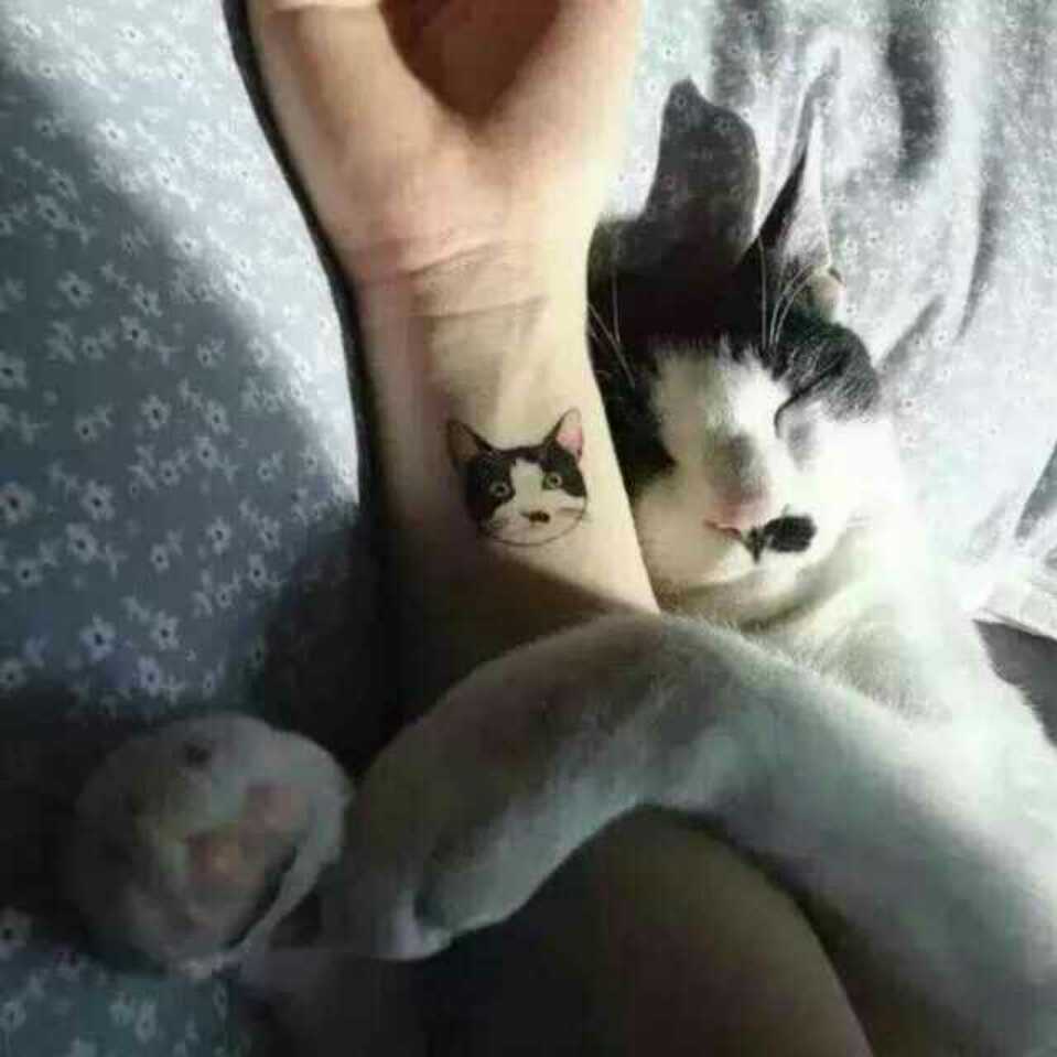 A正经包
