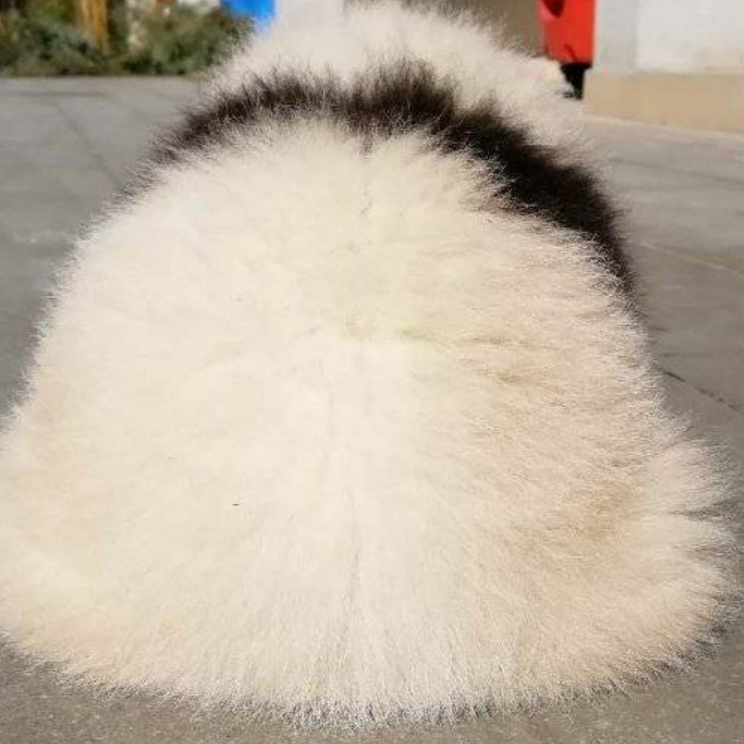 就叫猪头吧