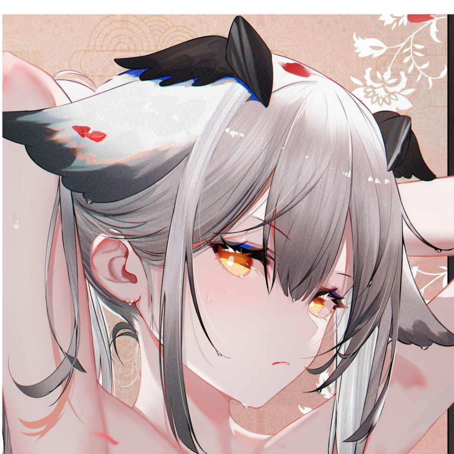 白月魁
