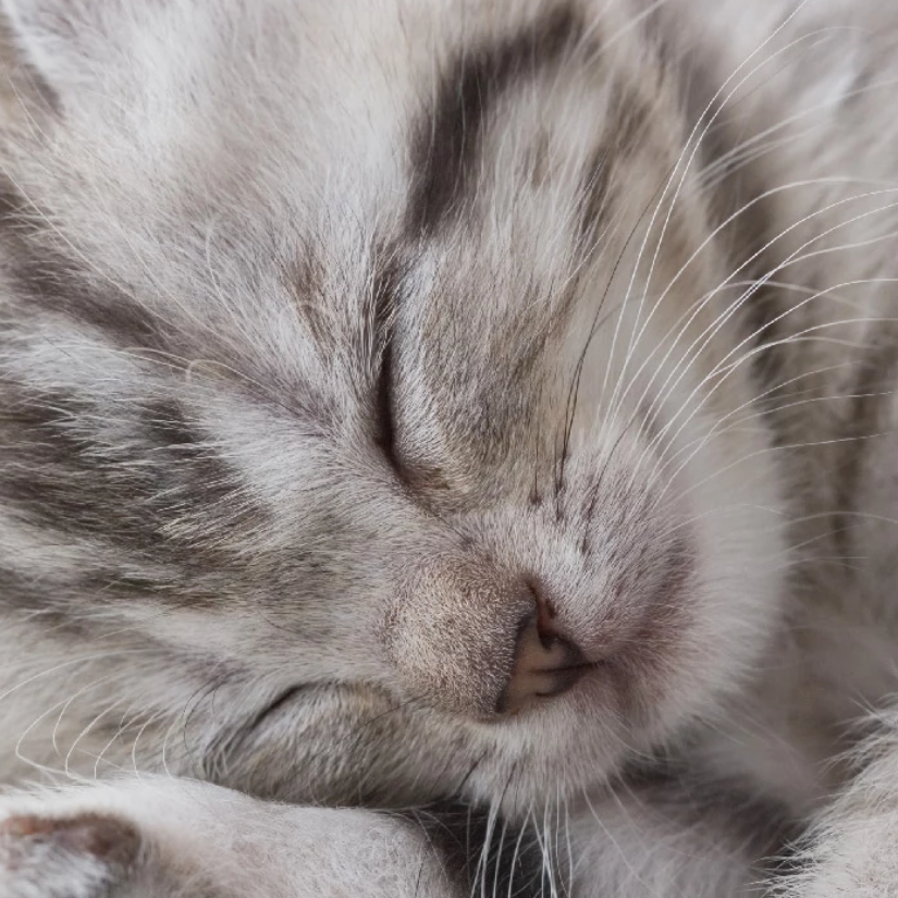 无法显示该名称