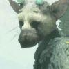 Trico,The Last