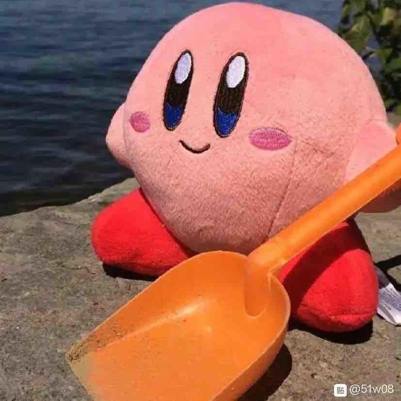 苦瓜