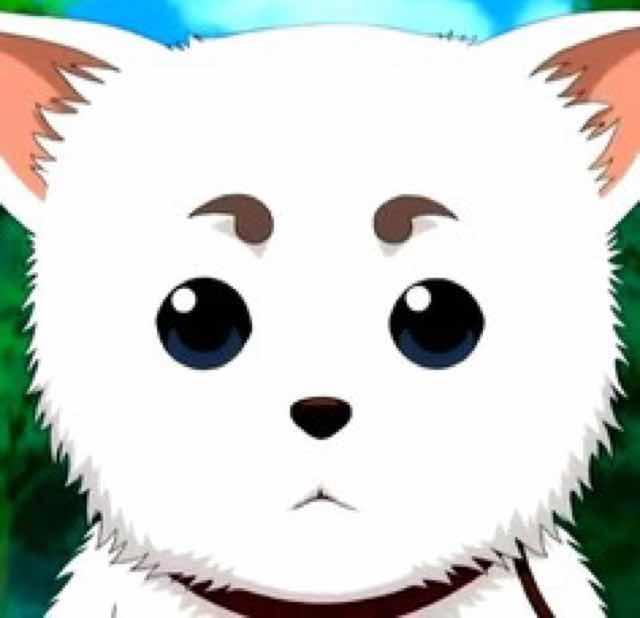 小琳🐈🐱