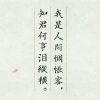 披荆斩棘的小丑