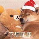ジ落叶ん🐾