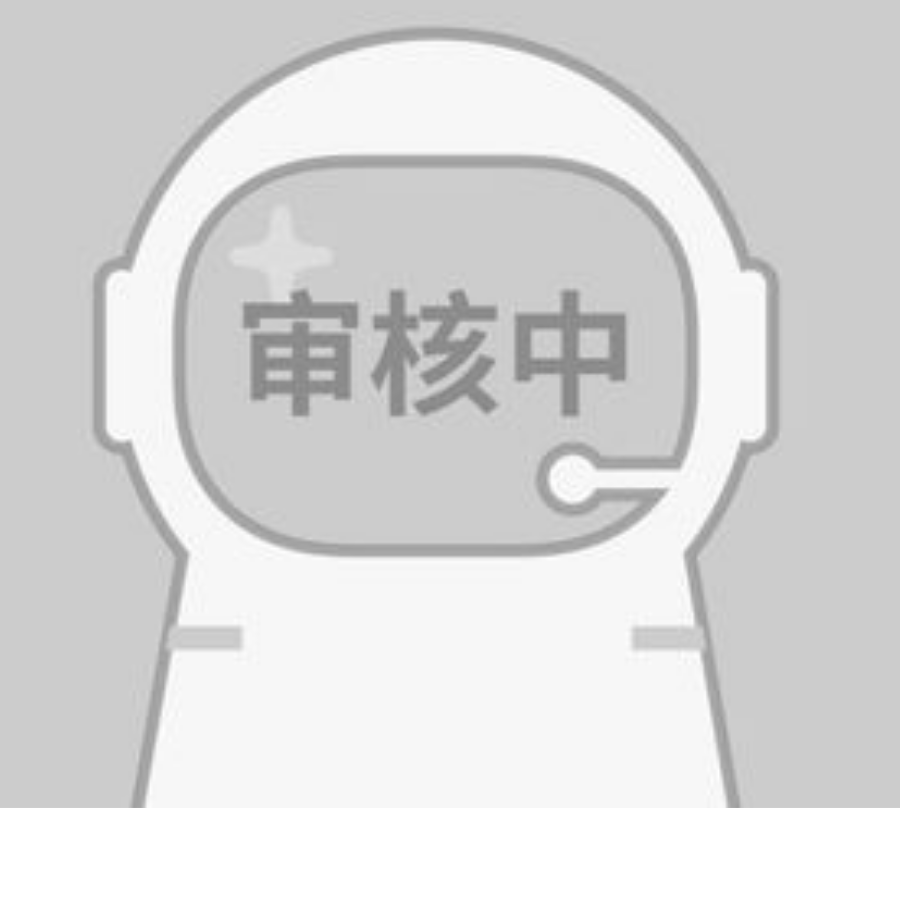 审核中 