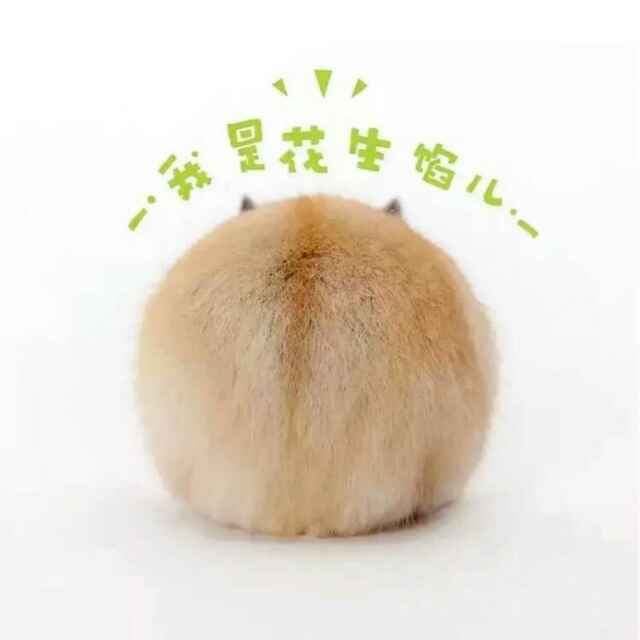 威少ゴセサдπÂ