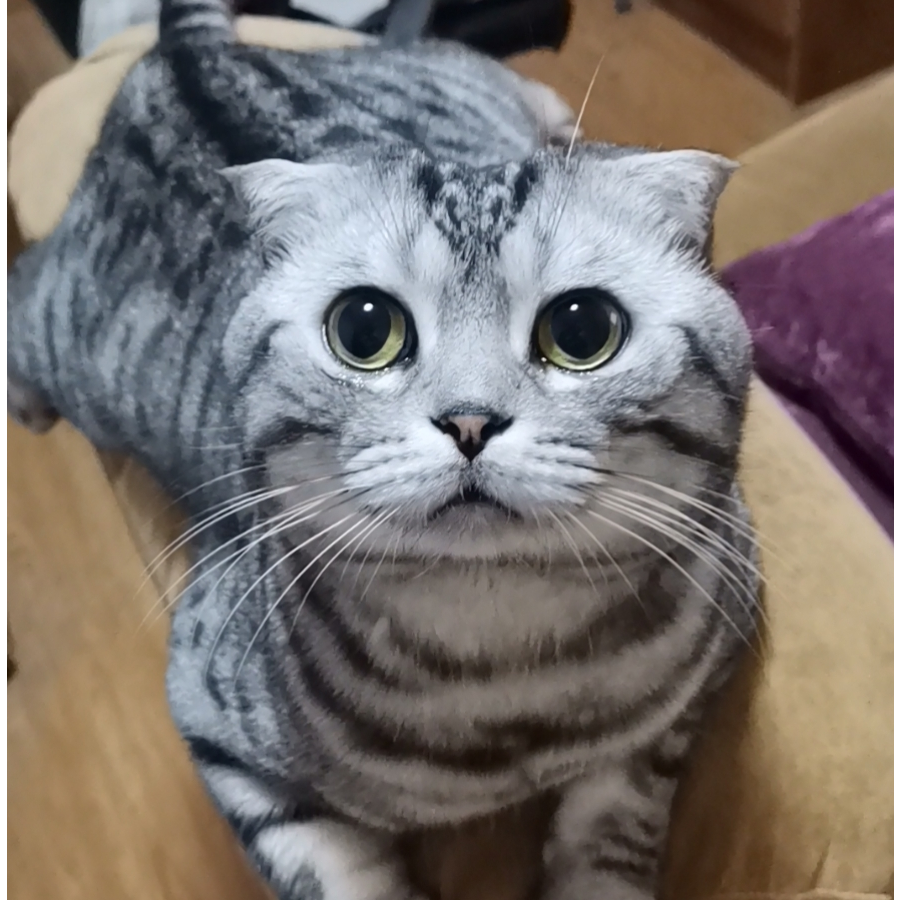 暖蛋宝