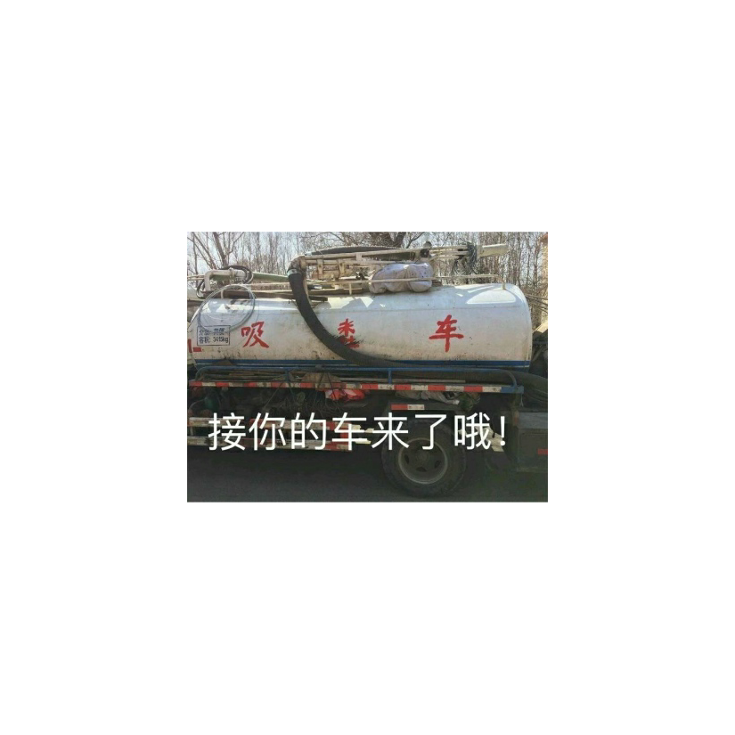 小芹菜