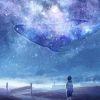 那片天空中