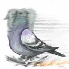 唔