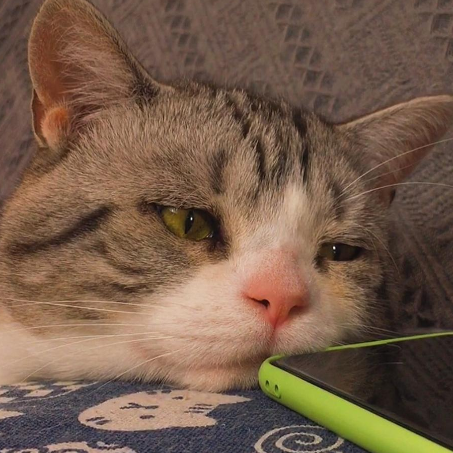 乱世枭雄王英俊