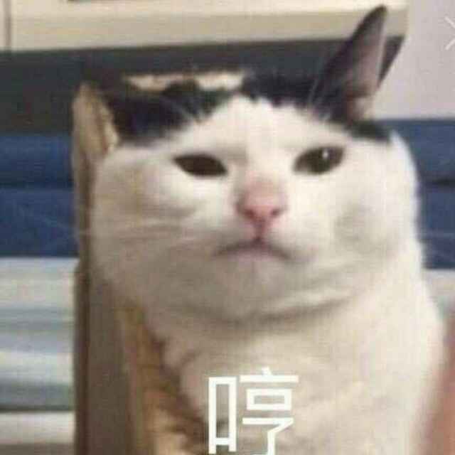 最后的苹果核
