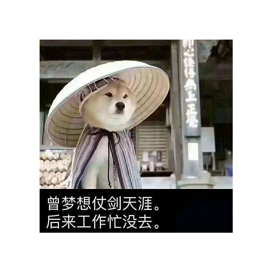 超级土豆君