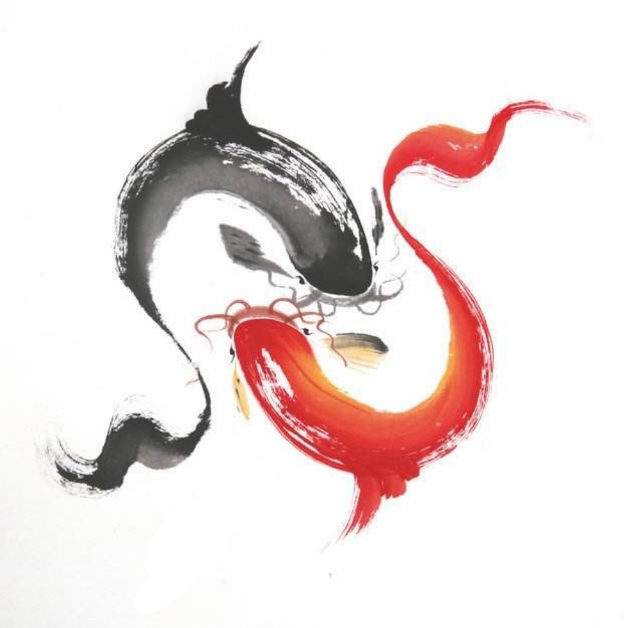 锦鲤