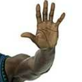 User13683391