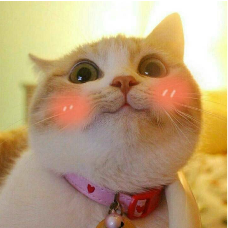 叭叭叭叭叭