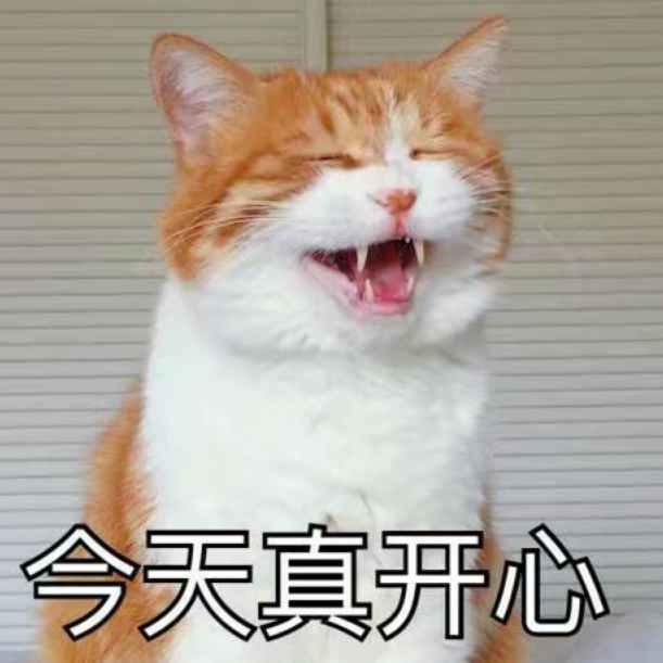 桑桑