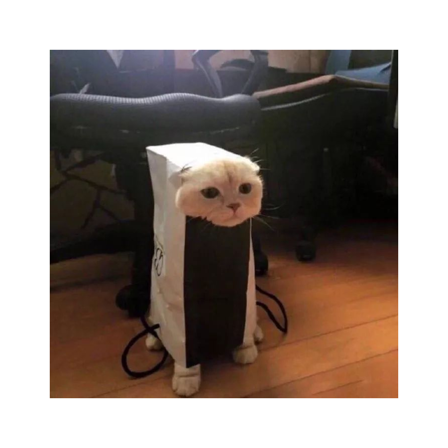 正