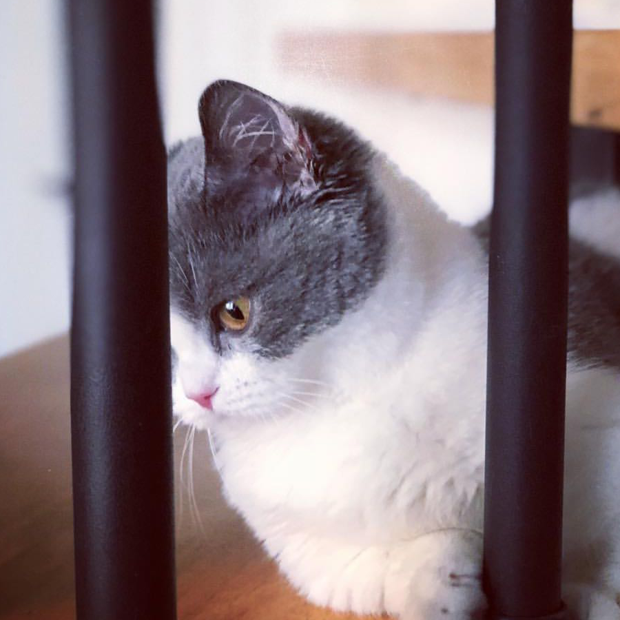莫失莫忘。
