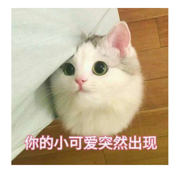 豌豆烧馍