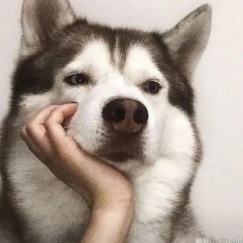 十二