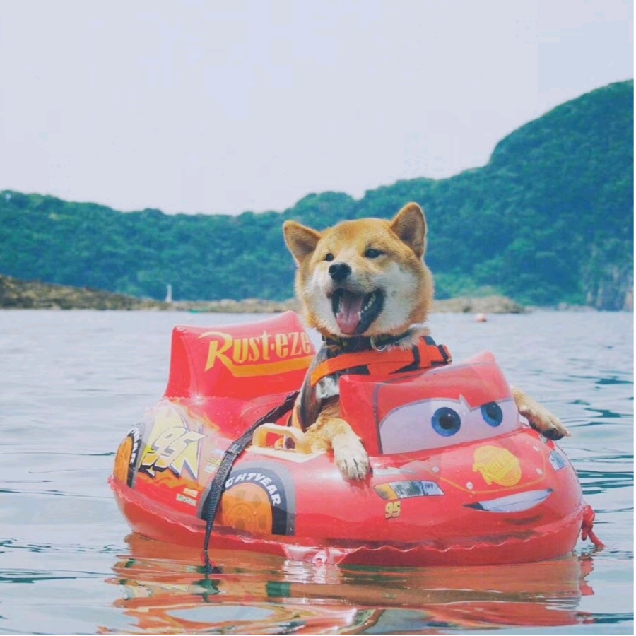 g扇子