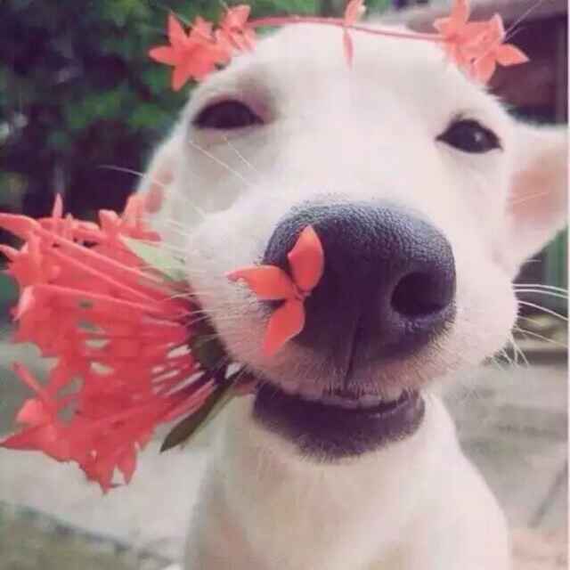 地出溜