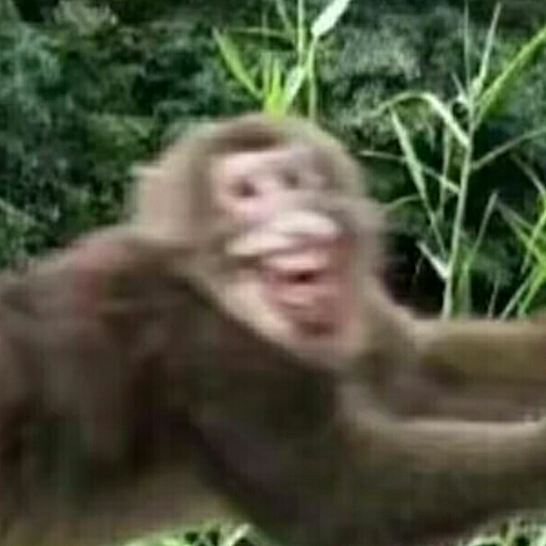 Rusianima