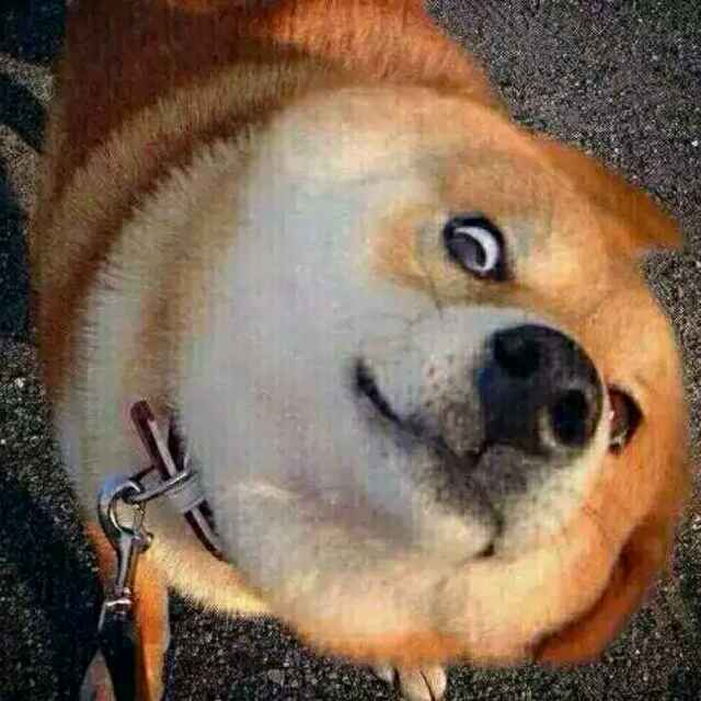 O.0