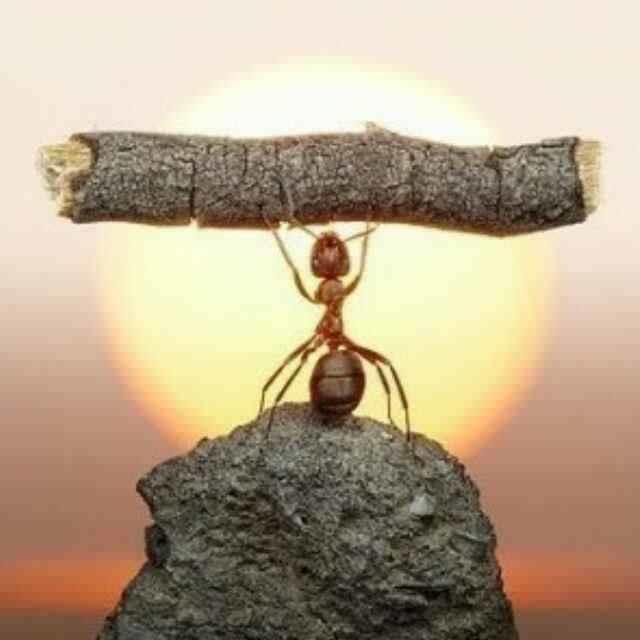寻行→_→