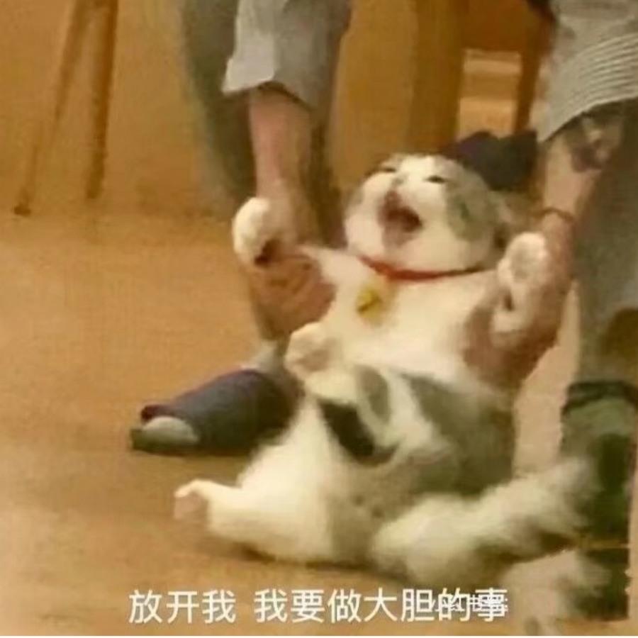 沉敛一生