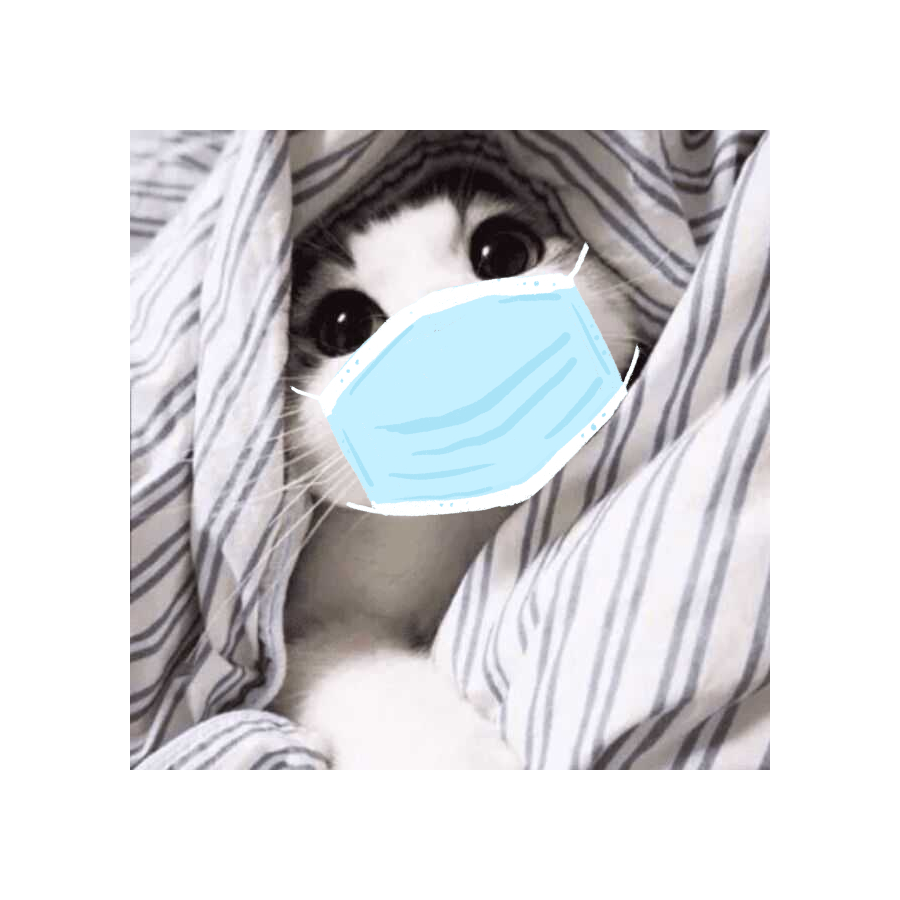 壁咚