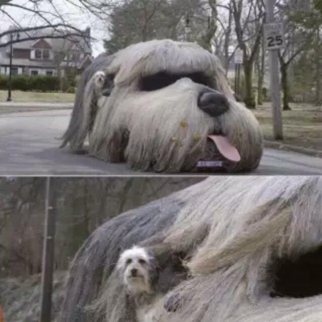 微微