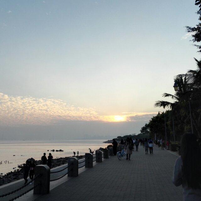 随意