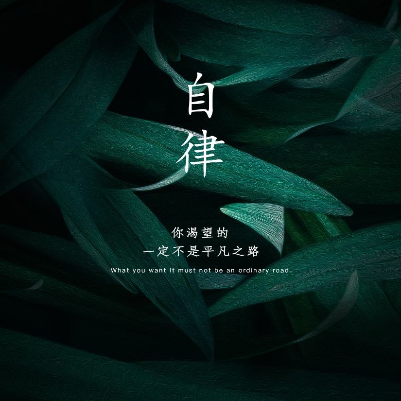 扶摇狠狠爱鹏祥