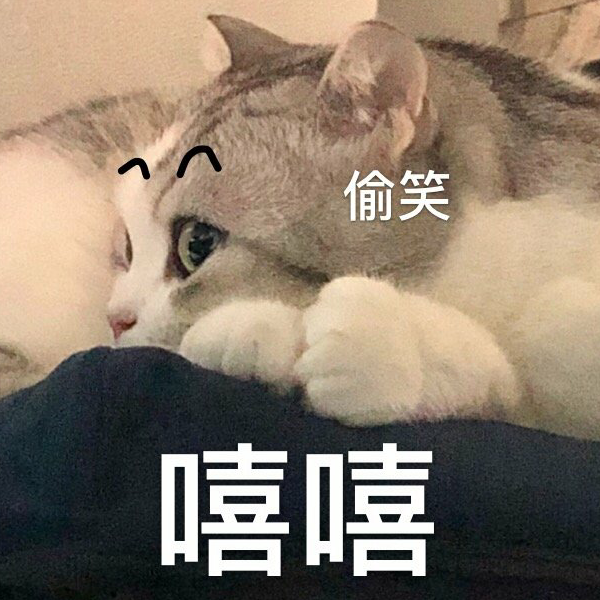 暴富候選人