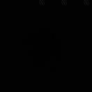 WS