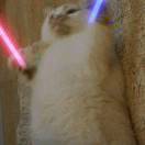 ʎɹɔ