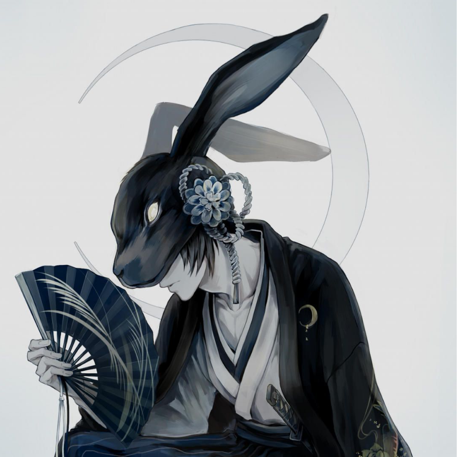 泸鸡驼