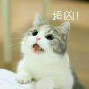 离殇